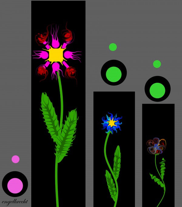 flowers  by irma engelbrecht